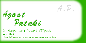 agost pataki business card